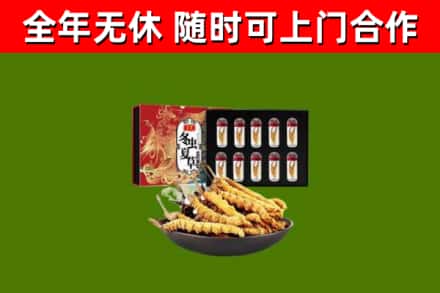 铁锋区烟酒回收冬虫夏草礼盒.jpg